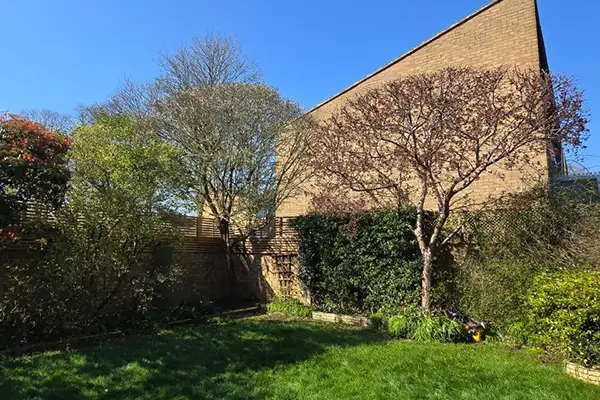 British trees