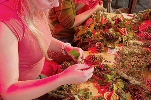 Browns Tree Solutions and the Wellbeing Hub