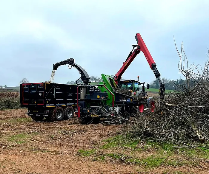 Site Clearance
