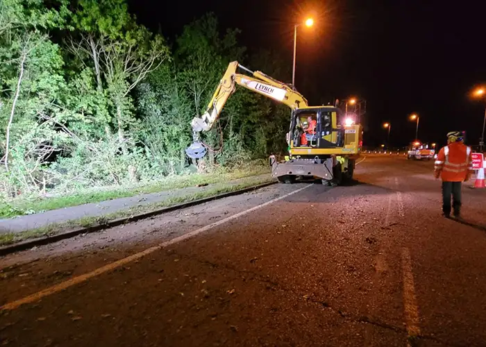 Emergency Tree work