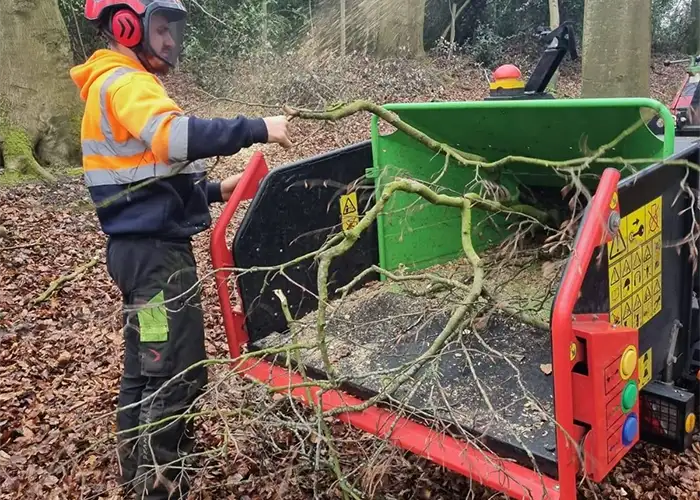 Emergency Tree Care