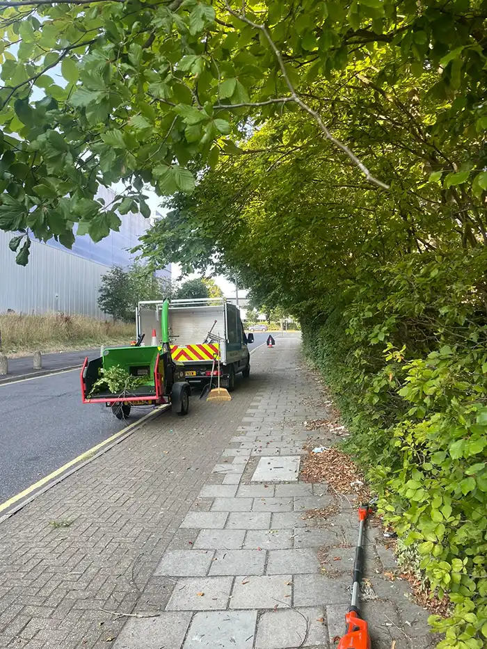 Clearing up after tree services