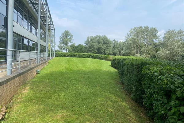 Commercial Grounds Maintenance