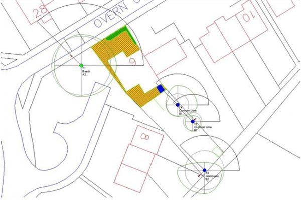 Tree Surveys &amp; Reports